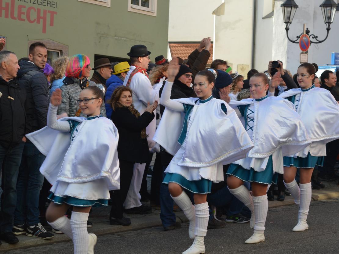 Faschingsumzug Donauwörth 2020