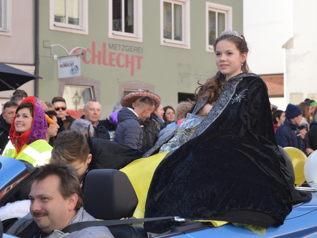 Faschingsumzug Donauwörth 2020