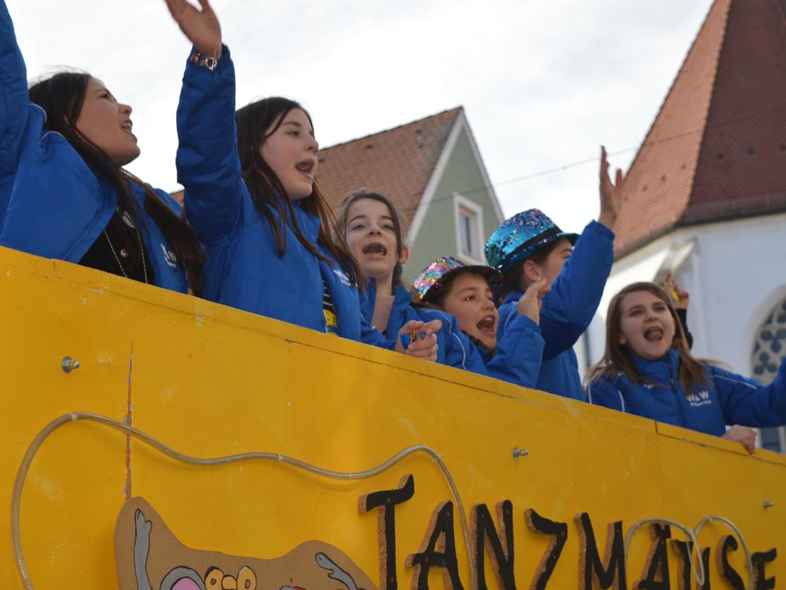 Faschingsumzug Donauwörth 2020