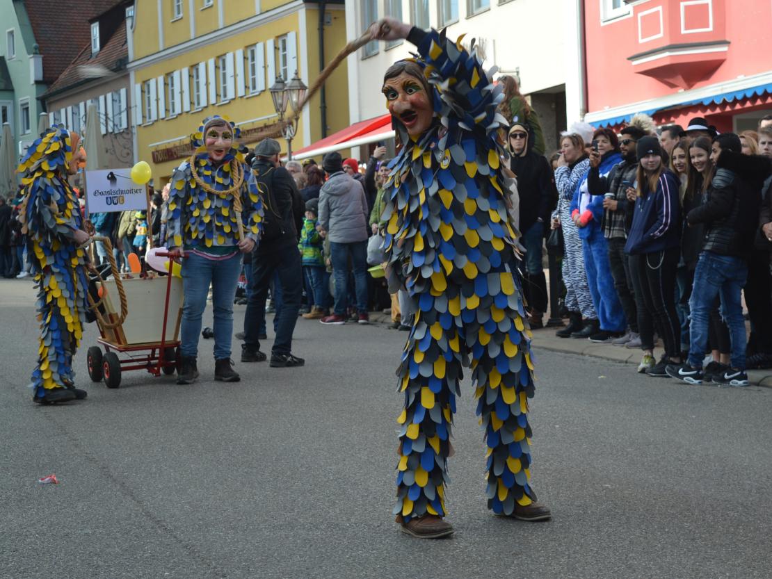 Faschingsumzug Donauwörth 2020