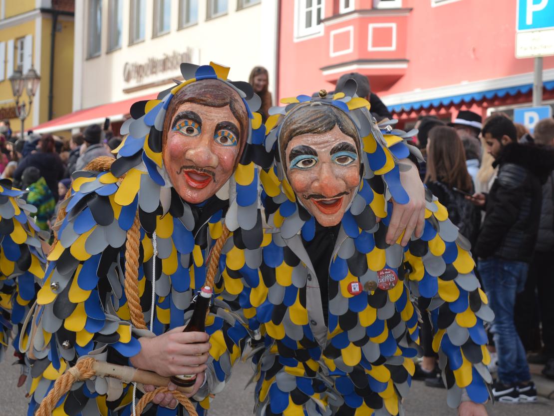 Faschingsumzug Donauwörth 2020