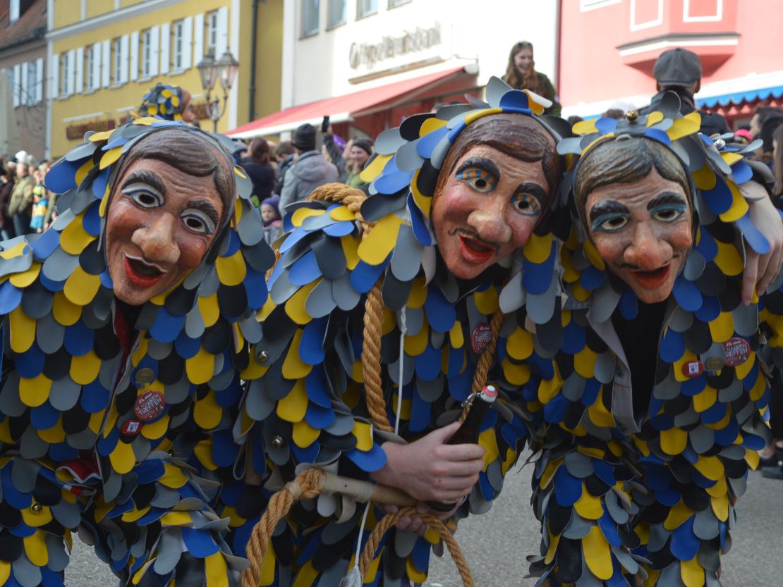 Faschingsumzug Donauwörth 2020
