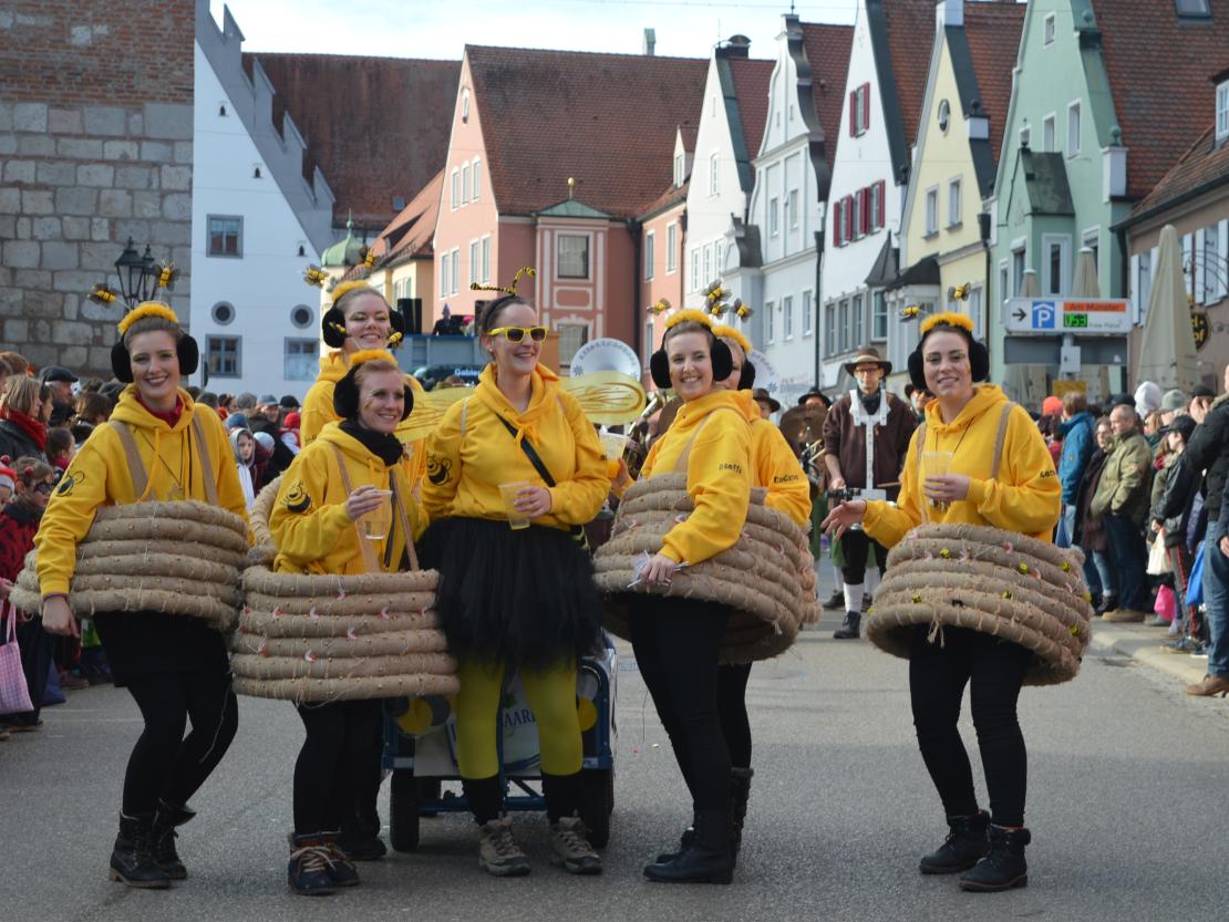 Faschingsumzug Donauwörth 2020