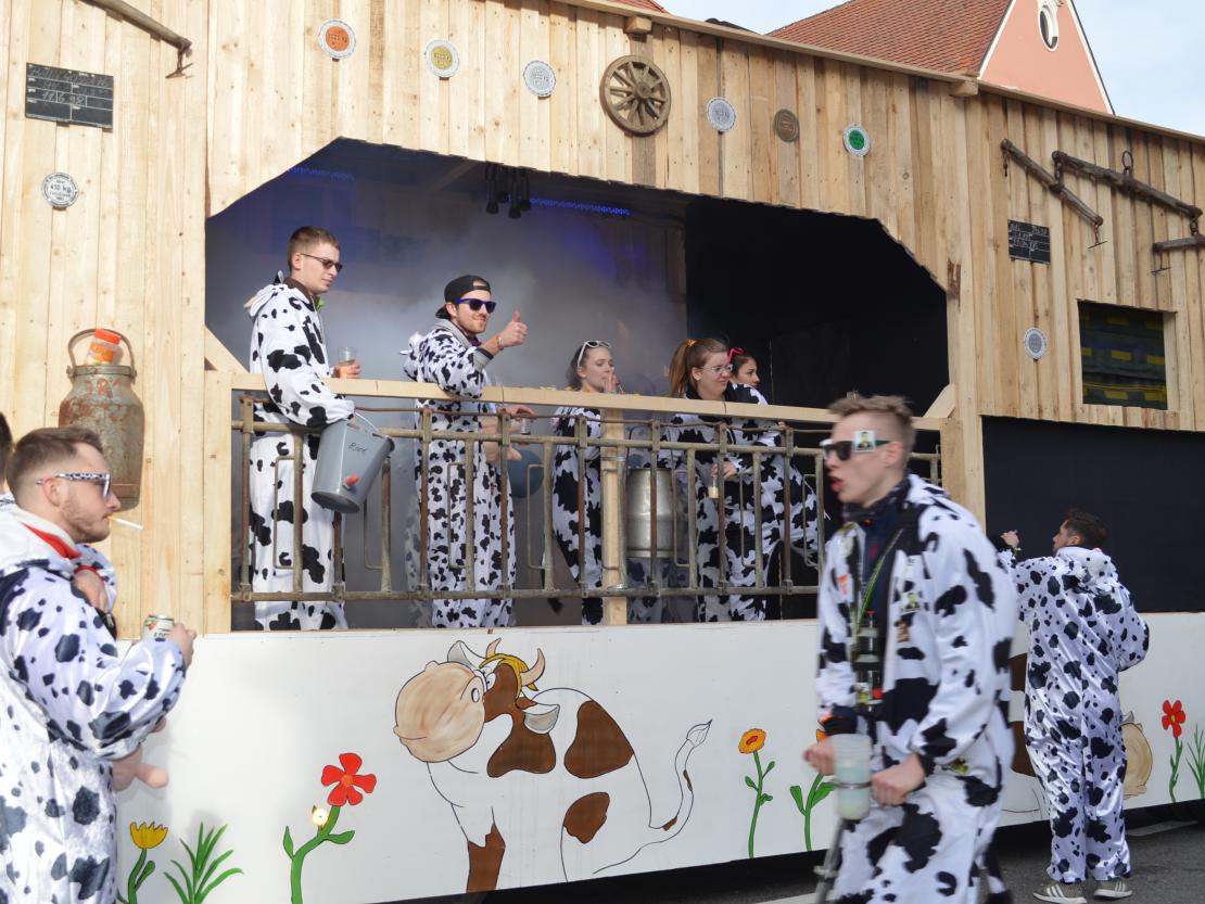 Faschingsumzug Donauwörth 2020