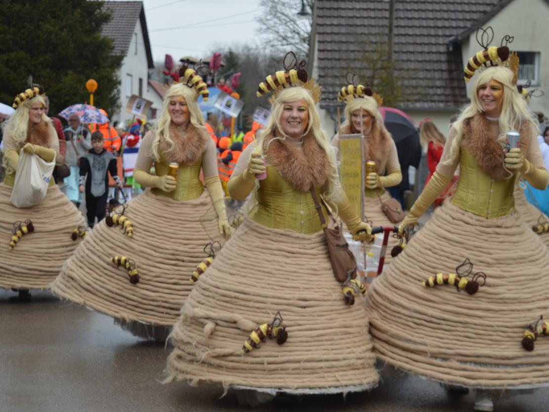 Faschingsumzug Oberndorf 2020