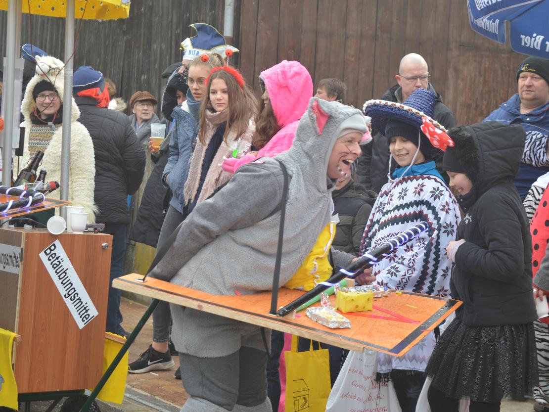 Faschingsumzug Oberndorf 2020