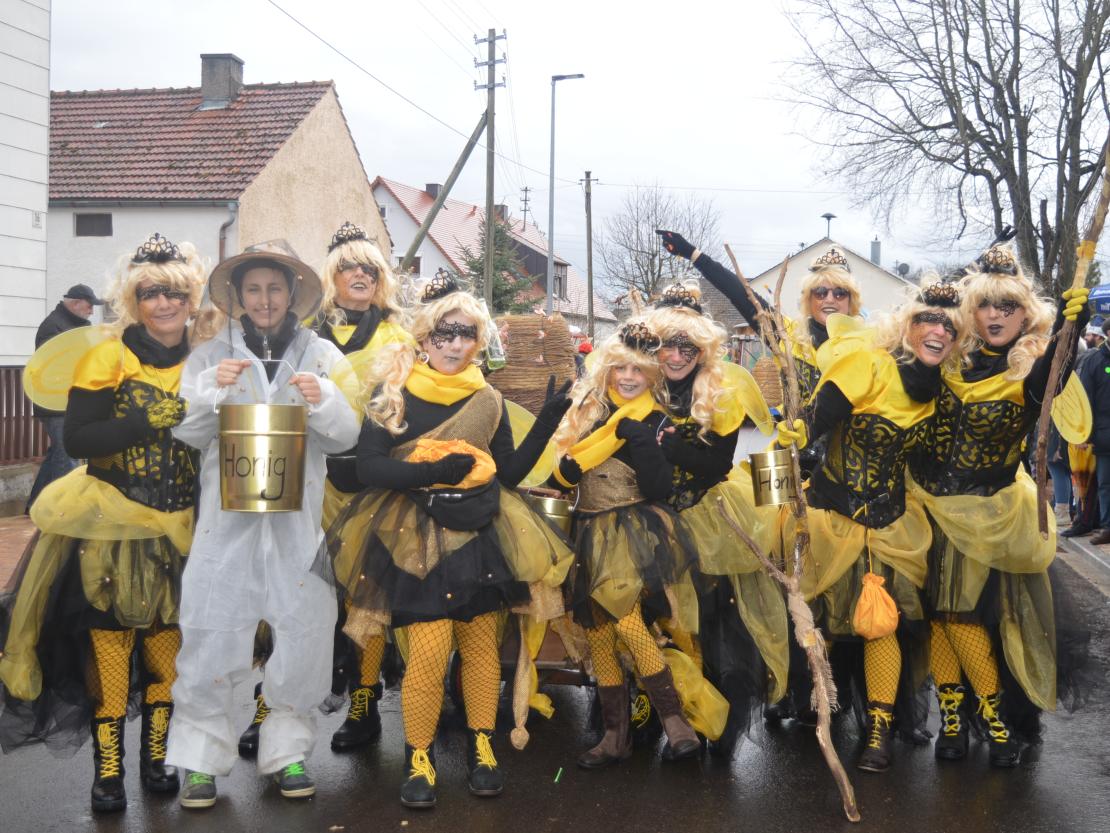 Faschingsumzug Oberndorf 2020