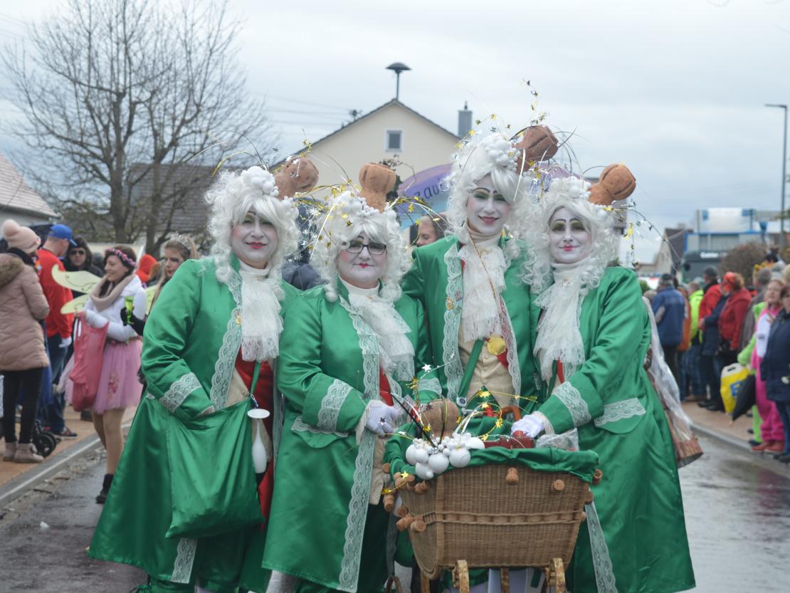 Faschingsumzug Oberndorf 2020