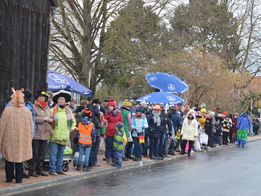 Faschingsumzug Oberndorf 2020