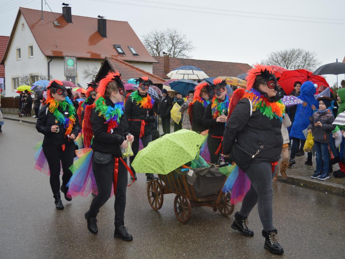 Faschingsumzug Hafenreut 2020
