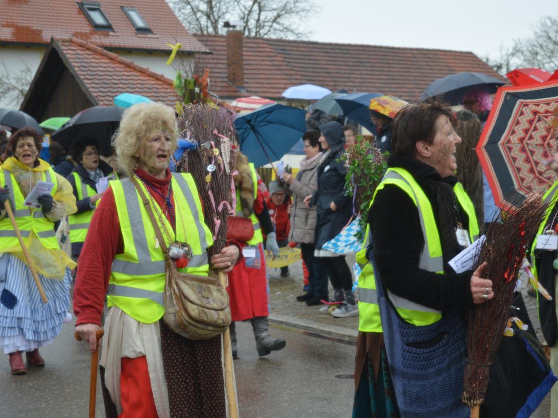 Faschingsumzug Hafenreut 2020