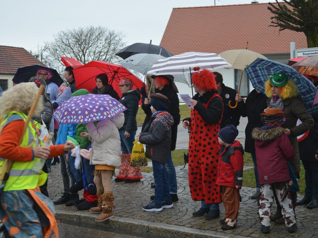 Faschingsumzug Hafenreut 2020