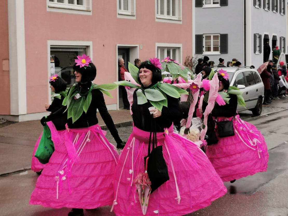 Faschingsumzug Mertingen