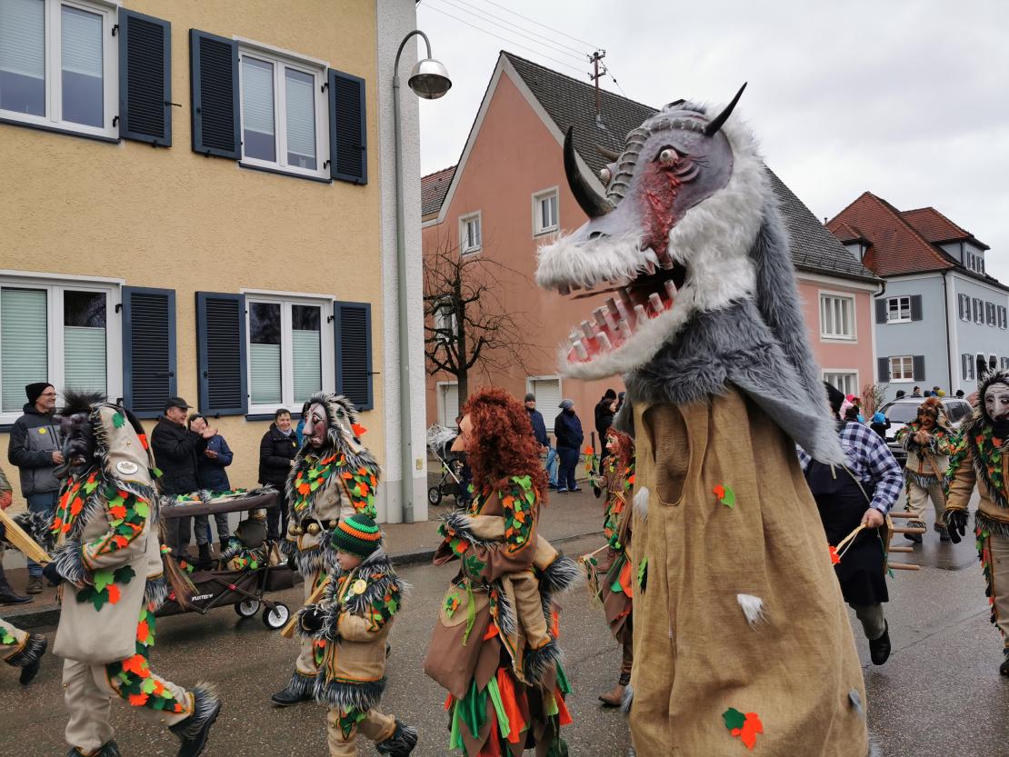 Faschingsumzug Mertingen