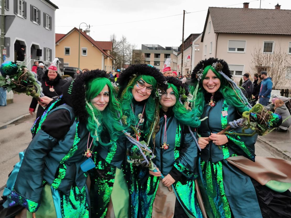 Faschingsumzug Mertingen