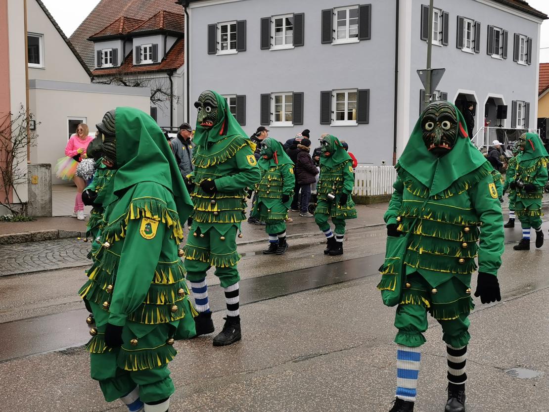 Faschingsumzug Mertingen