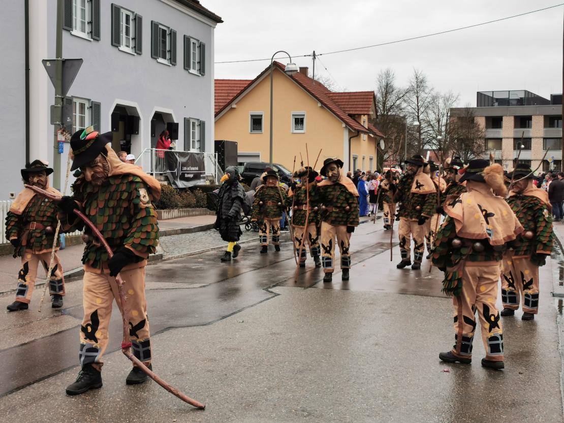 Faschingsumzug Mertingen