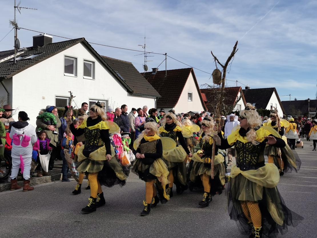 Genderkingen Faschingsumzug 2020