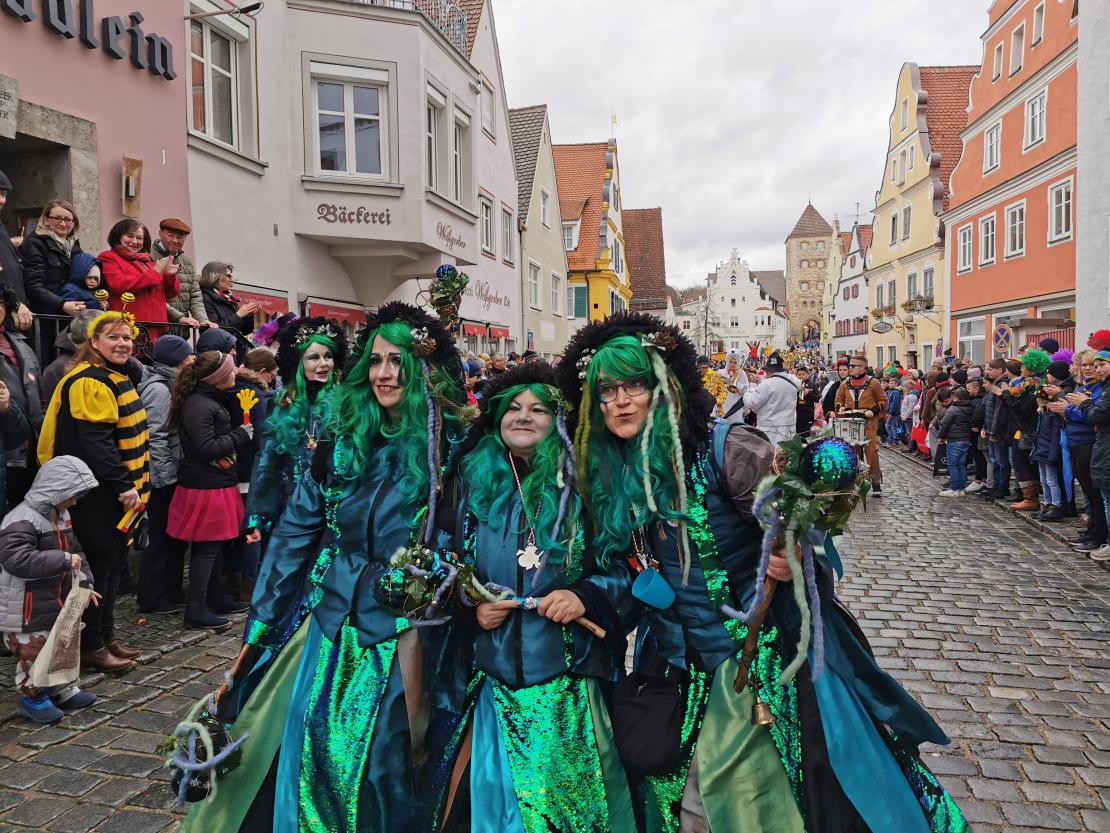 Faschingszug durch Wemding