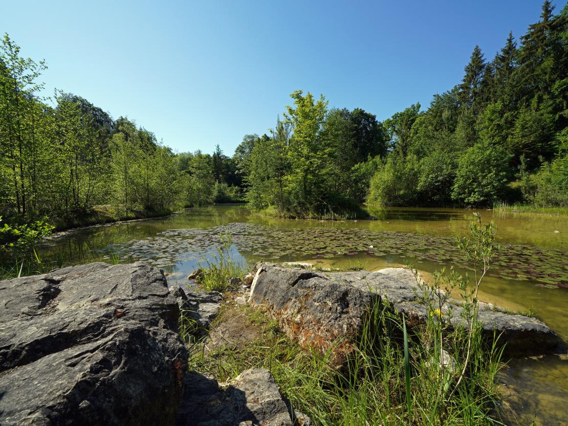 Ehemaliger Steinbruch Marbach/Brünsee