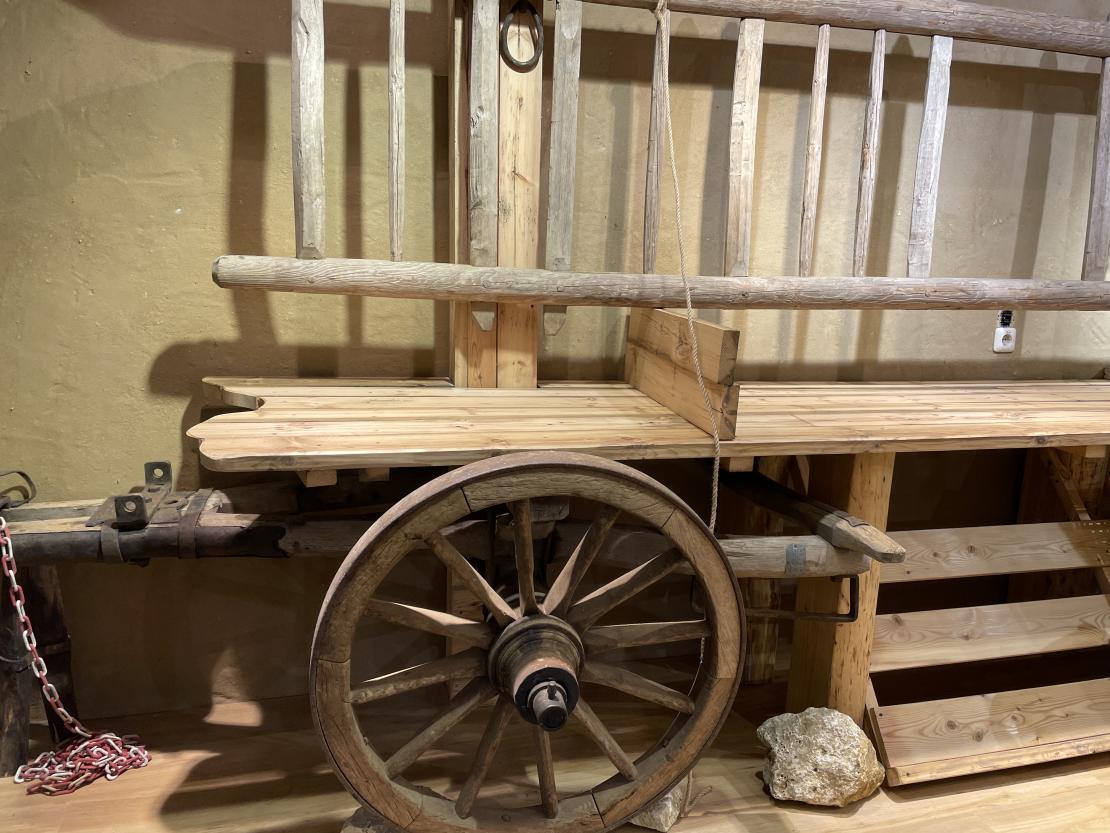 Stadtladen Donauwörth