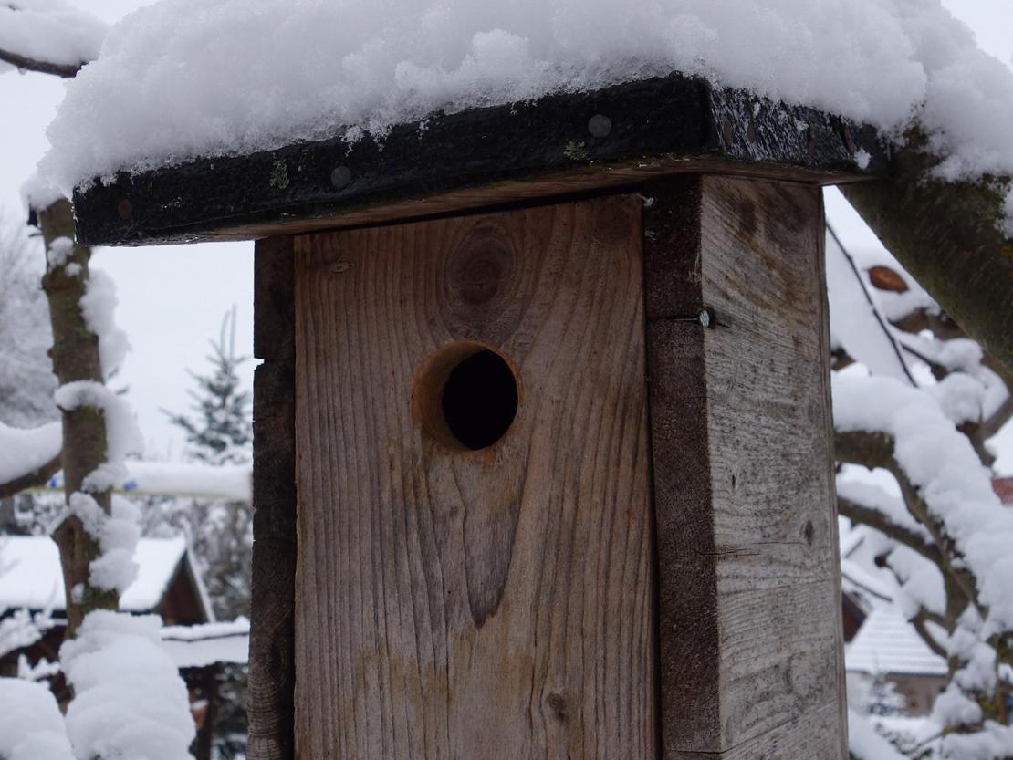 Das Bild zeigt ein Vogelhaus.