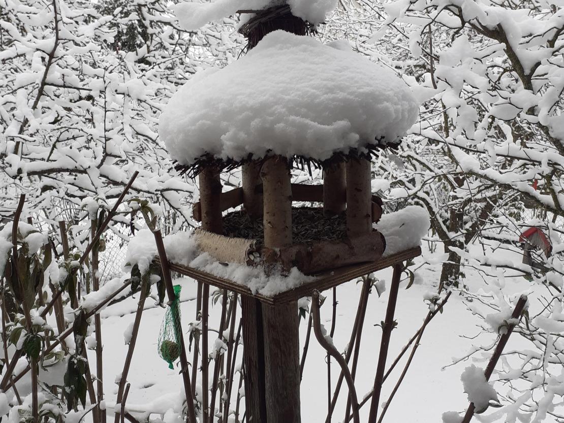 Das Bild zeigt ein Vogelhaus mit Schnee.