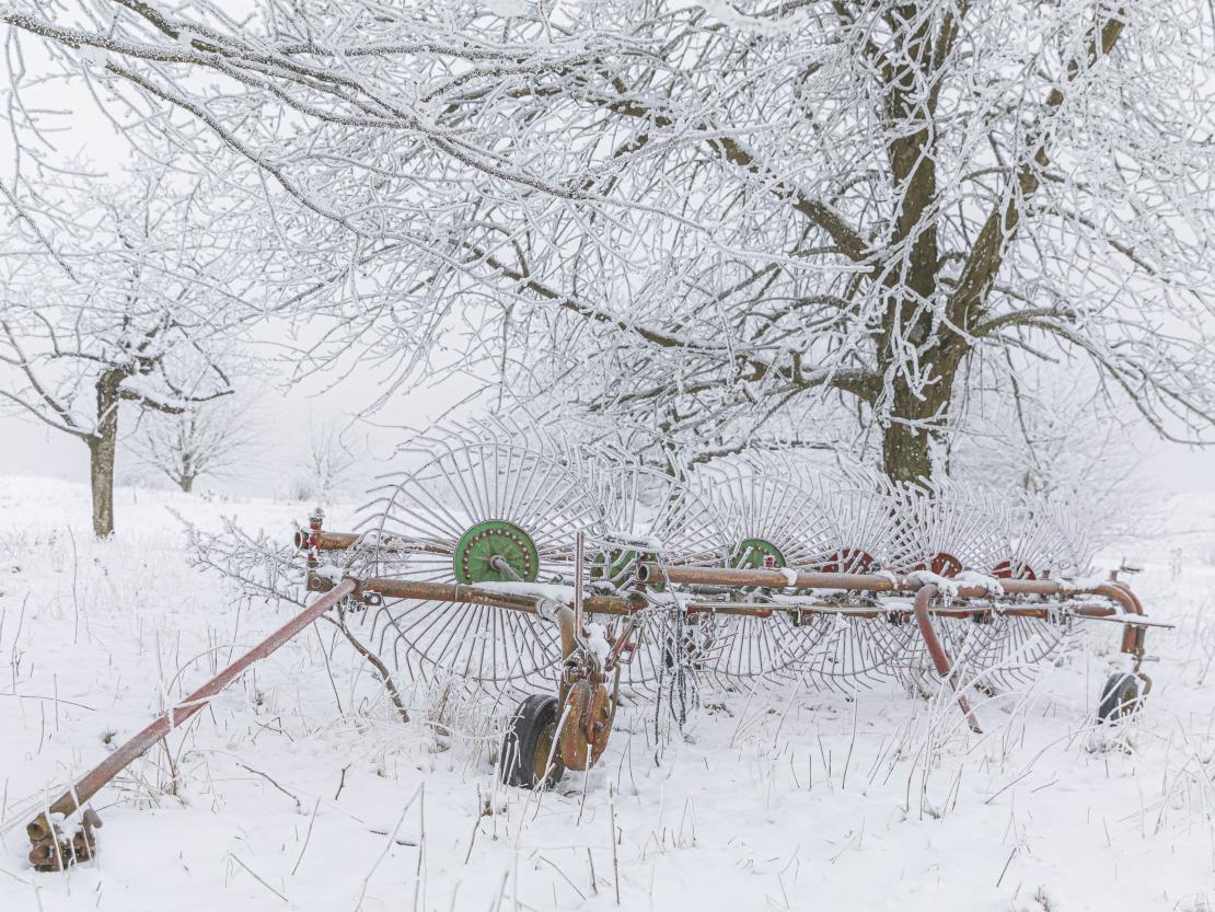 Heurechen im Schnee.