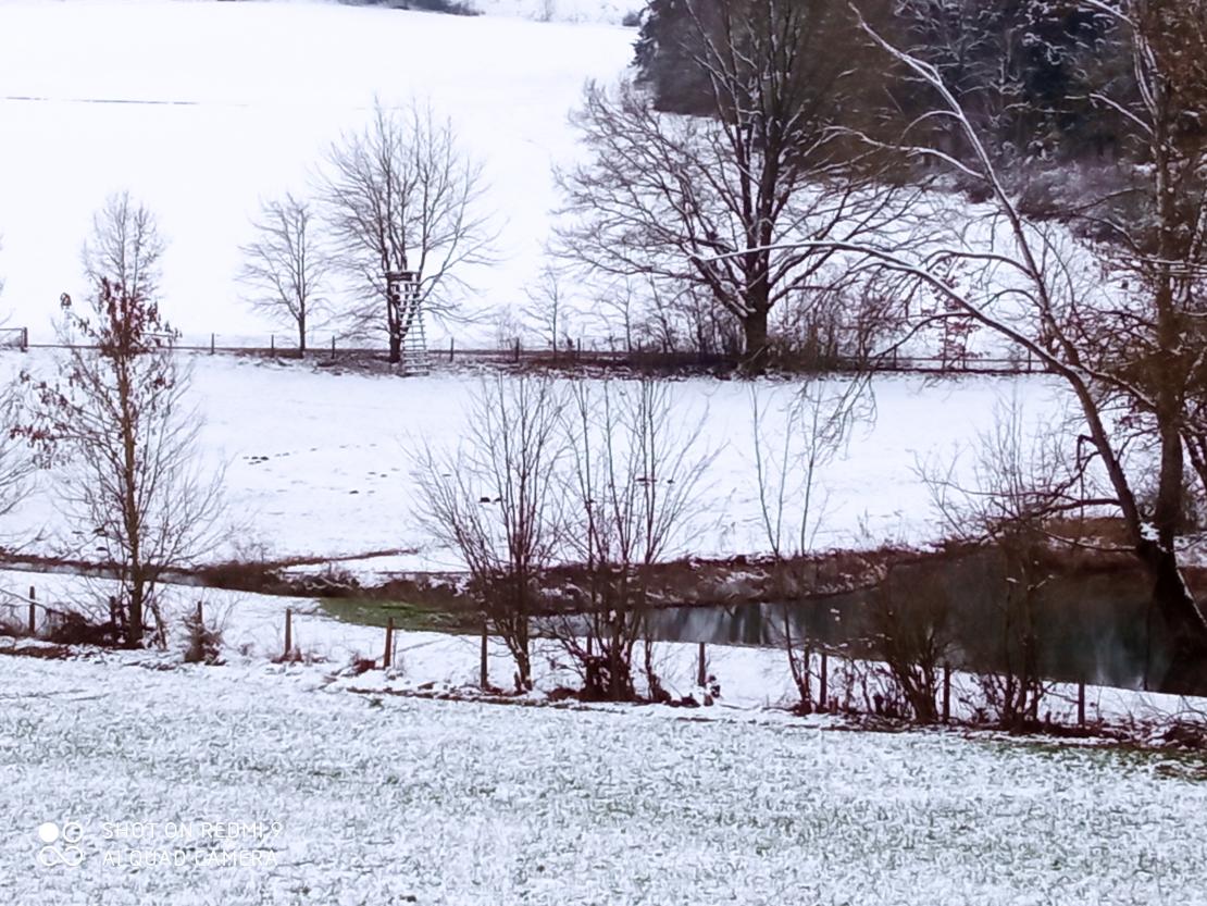 Dieses Bild zeigt den Schnee.