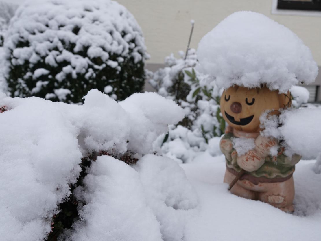 Das Bild zeigt einen Vorgarten im Schnee.