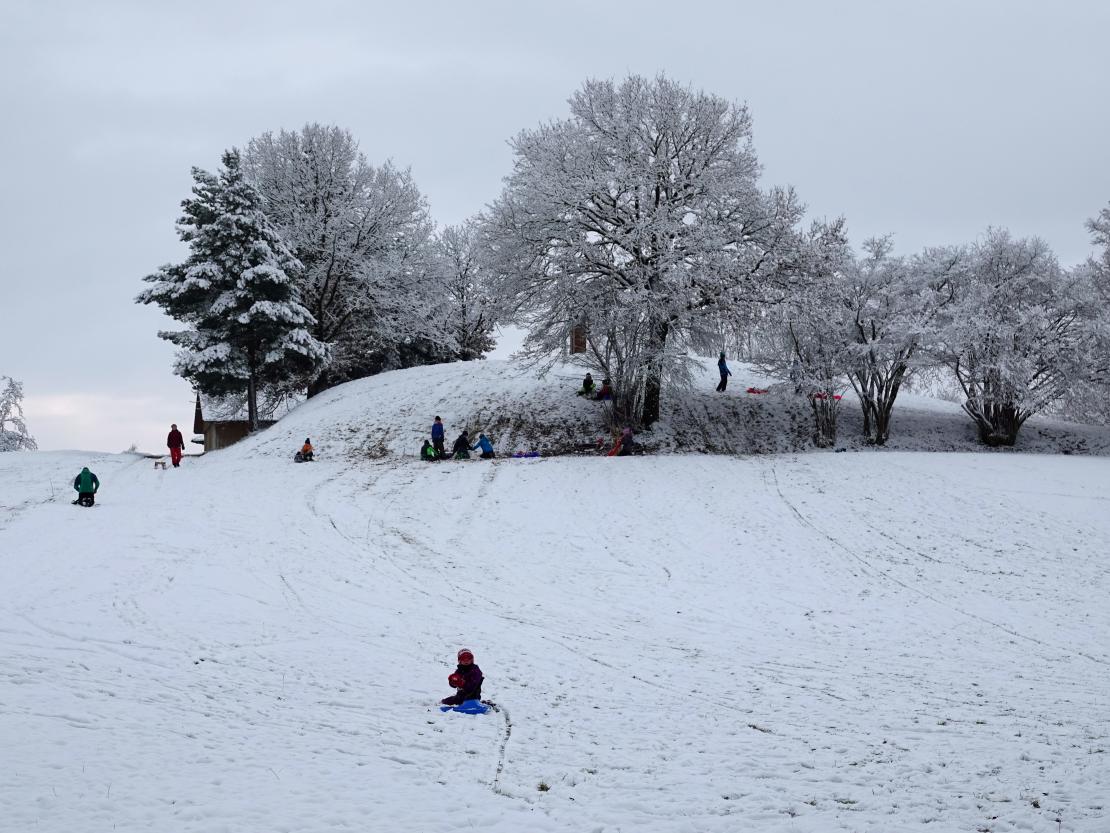 Das Bild zeigt Kinder beim Schlittenfahren.