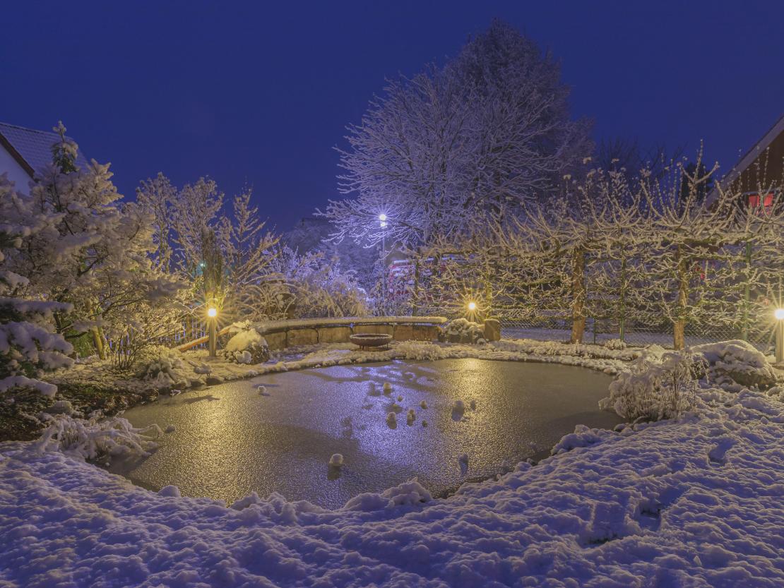 Das Bild zeigt einen Teich im Schnee.