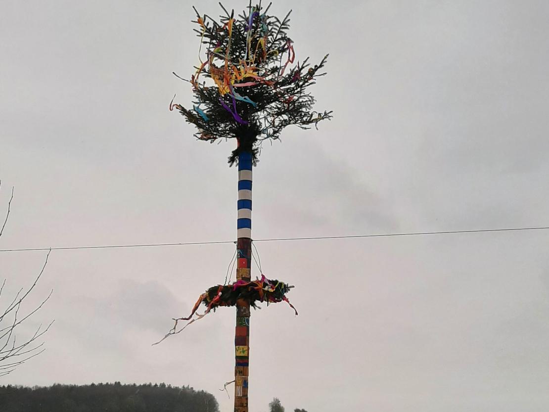 Maibaum Minderoffingen