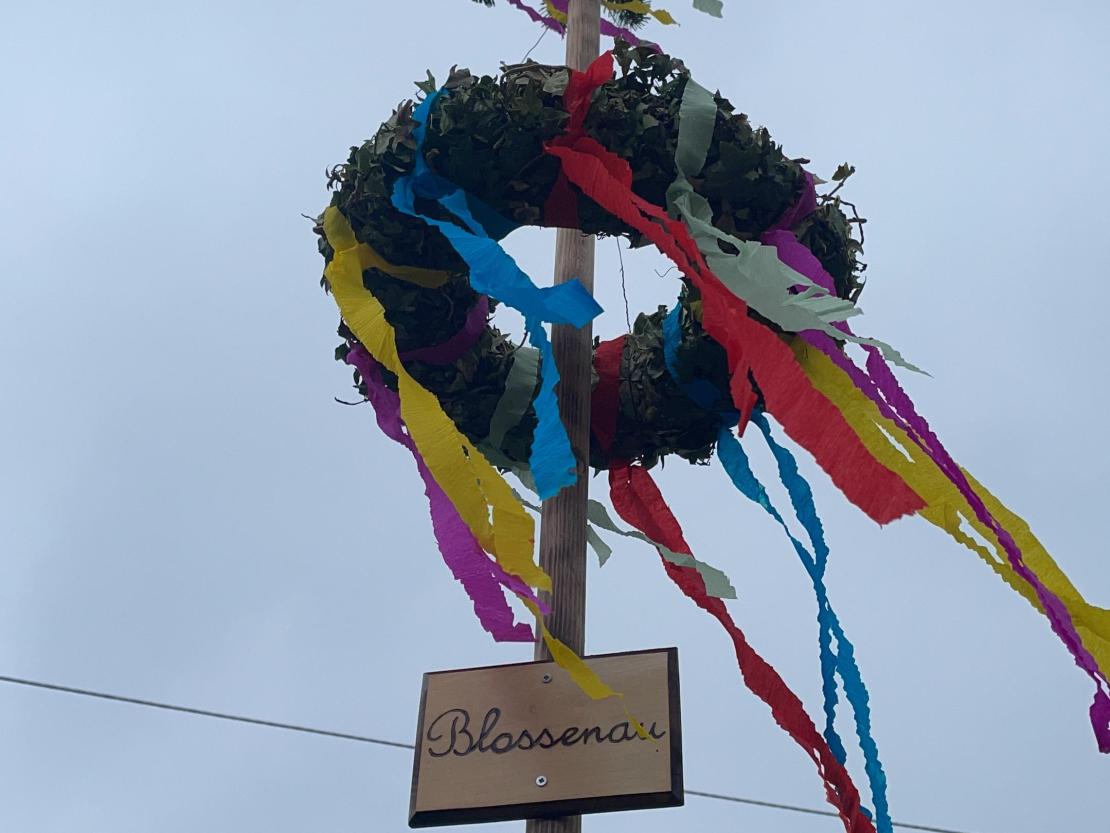 Maibaum Blossenau 