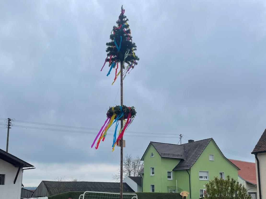 Maibaum Blossenau 