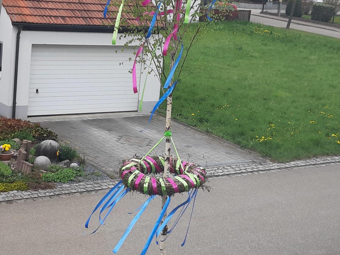 Maibaum Löpsingen 
