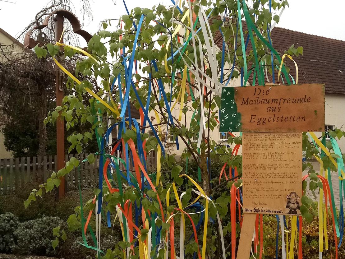 Das Bild zeigt einen Maibaum 