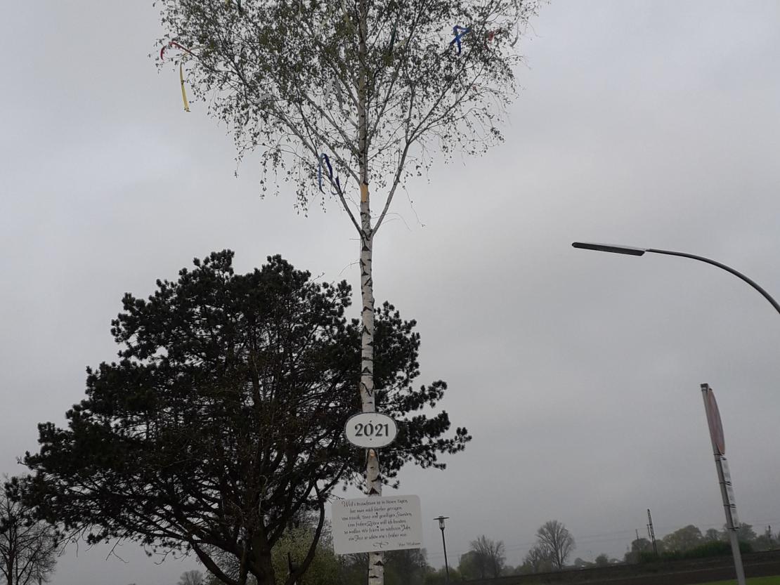 Maibaum Nordheim 