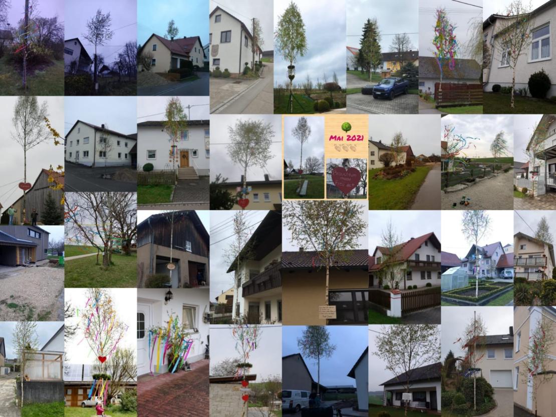 Die Wittesheimer Maibäume