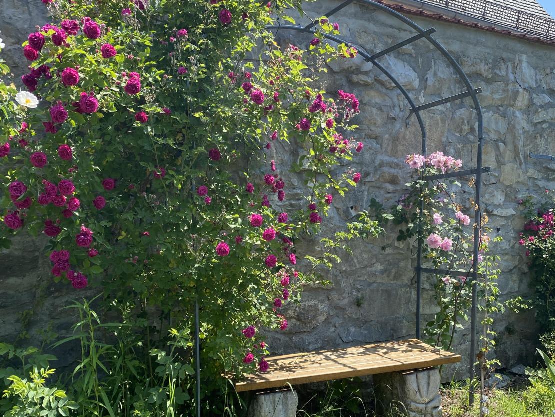 Dieser Ort ist das perfekte Plätzchen, um alles zu vergessen und dafür die warmen Sonnenstrahlen auf der Haut zu genießen. 