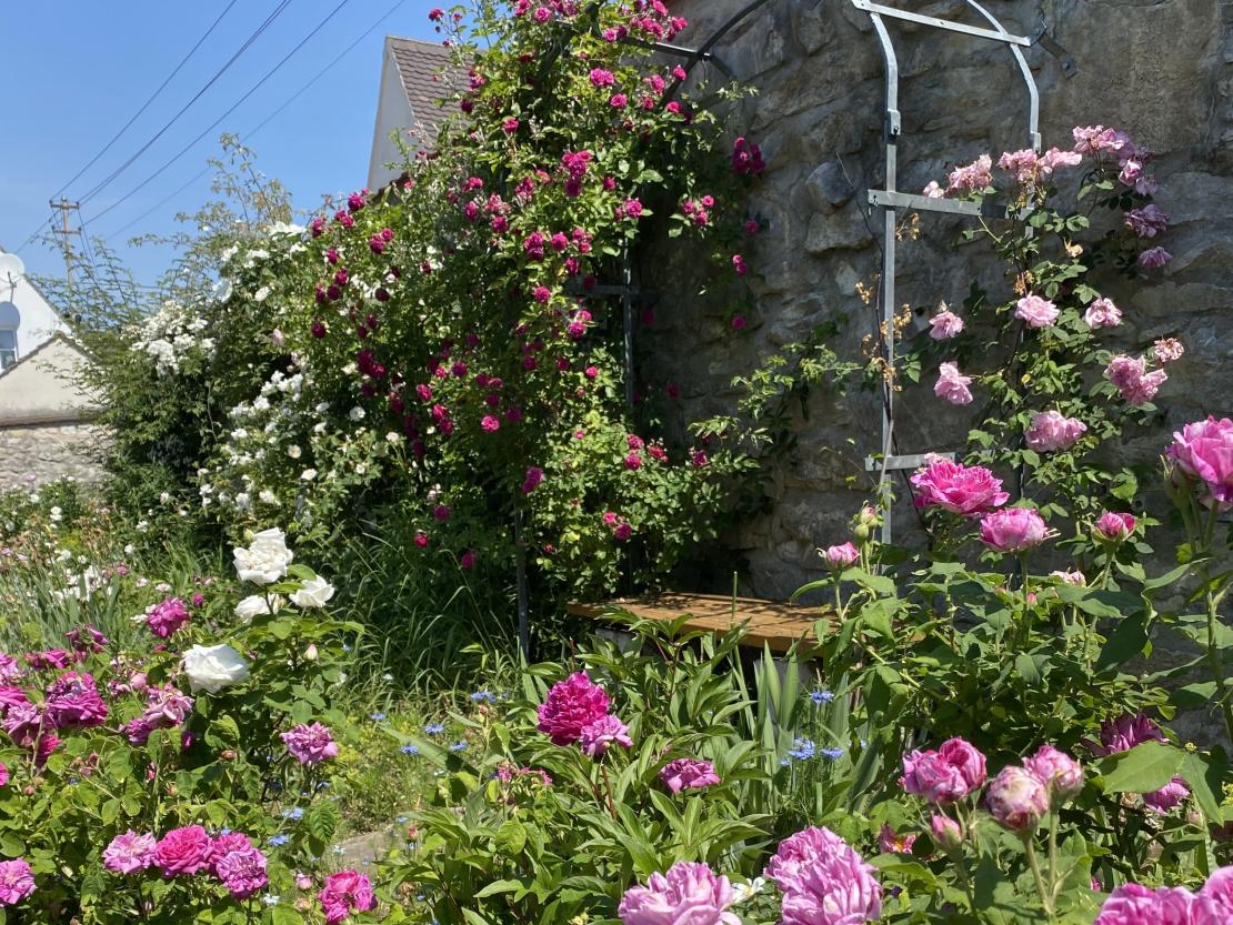 Für die ruhigen Seelen unter uns: Ein gutes Buch und man kann den Tag perfekt dort abklingen lassen. 