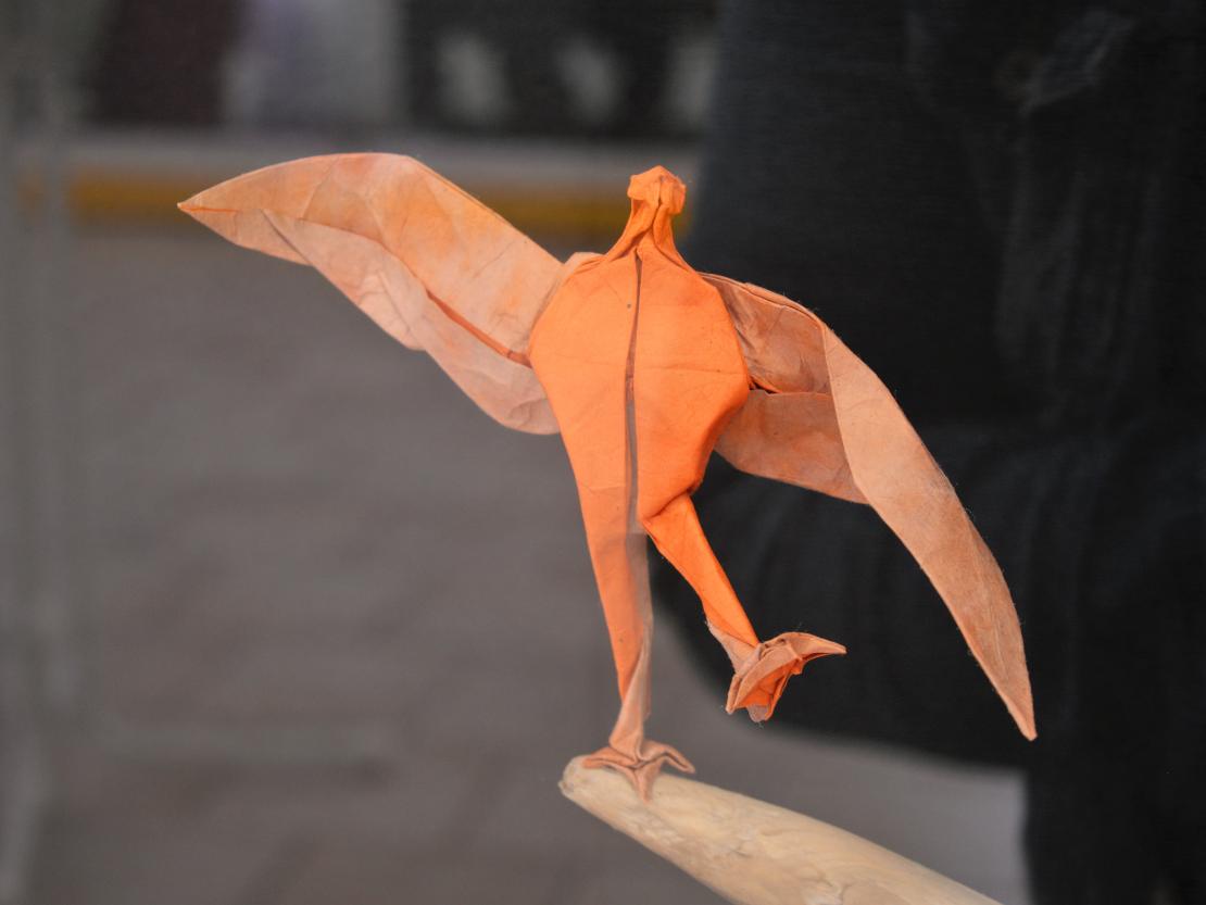 Origami Peter Stein