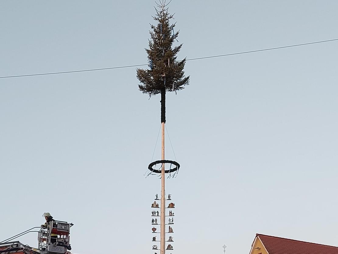 Maibaum Donauwörth