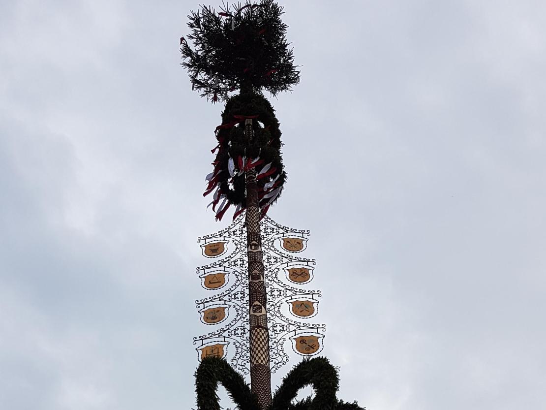 Maibaum Baldingen