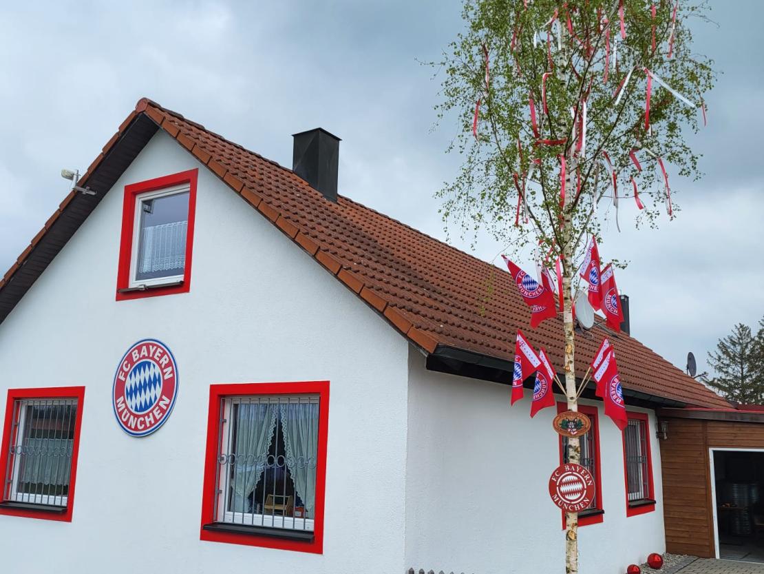 Maibaum Red Wood Cats