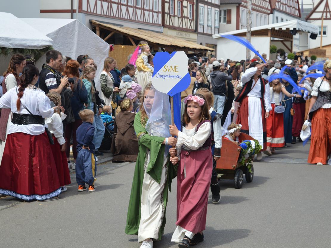 Historischer Markt Oettingen