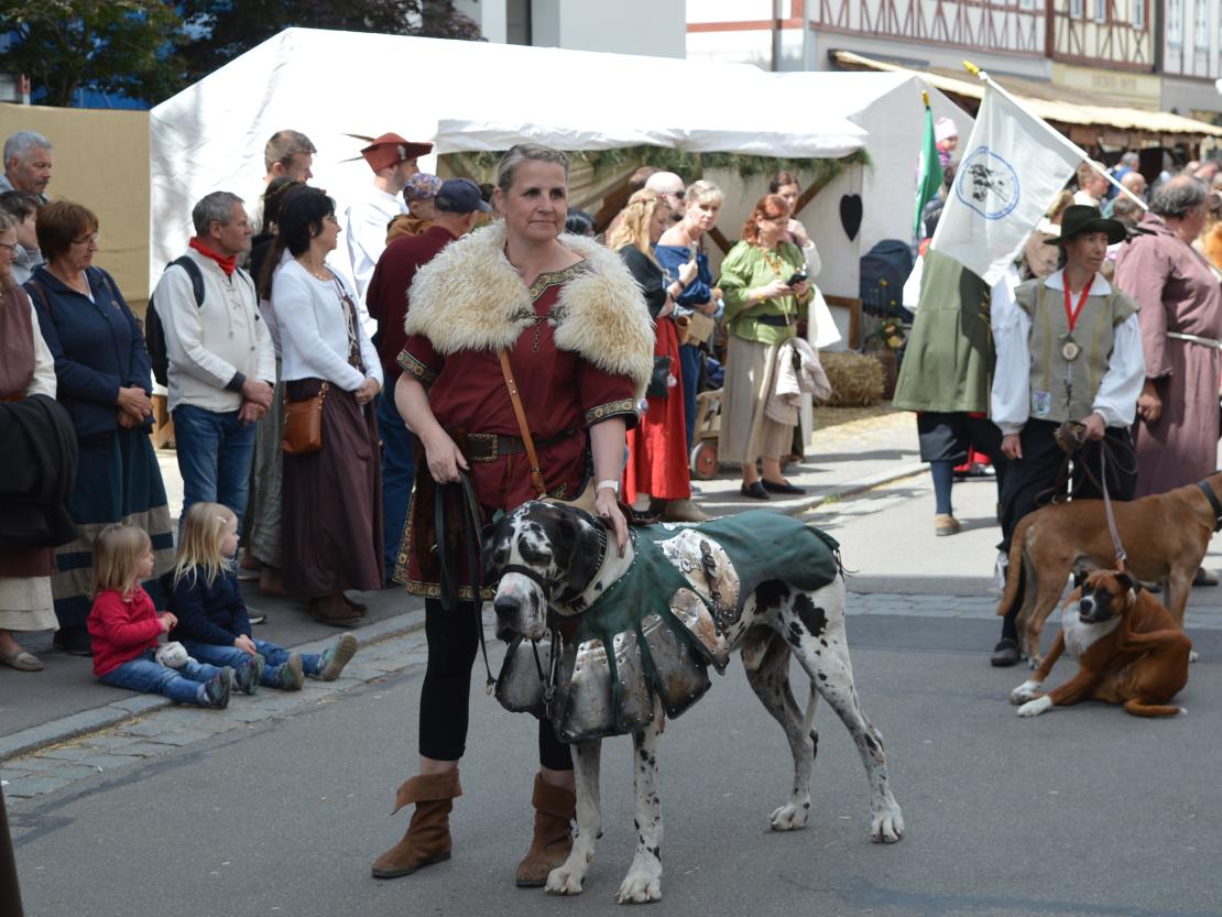 Historischer Markt Oettingen