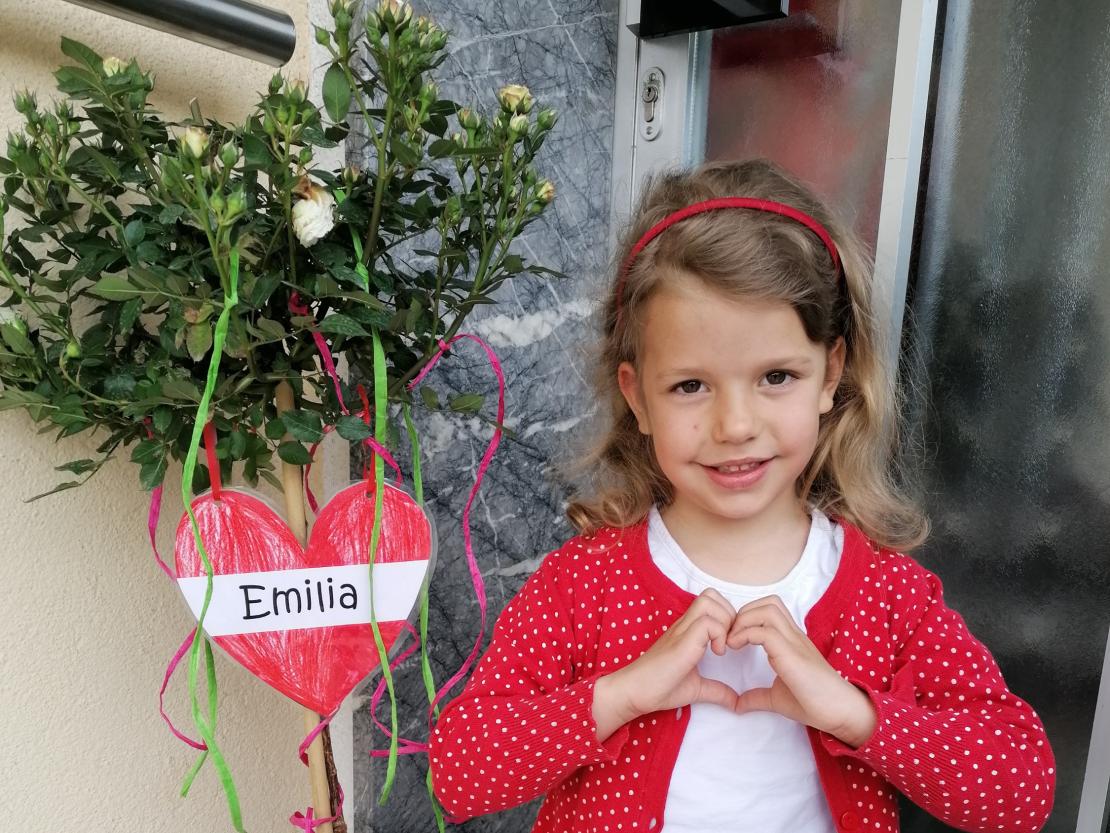 Rosenmaibäumchen Emilia 