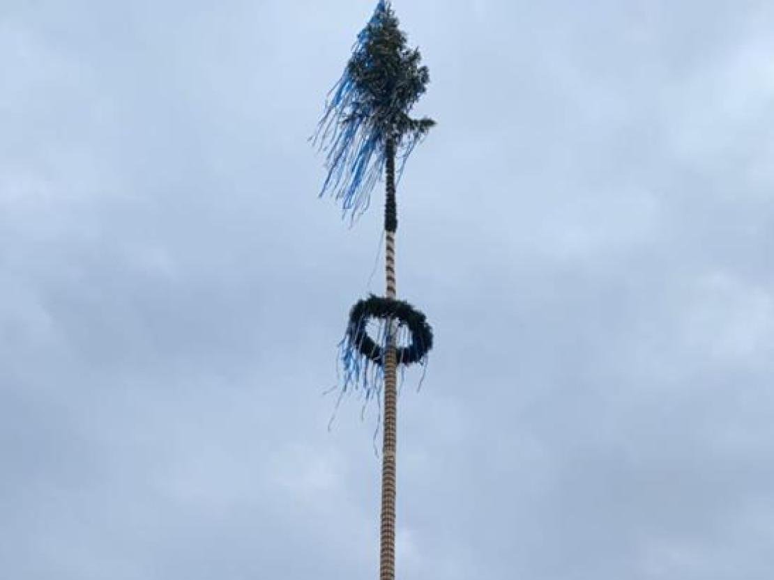 Maibaum Tagmersheim