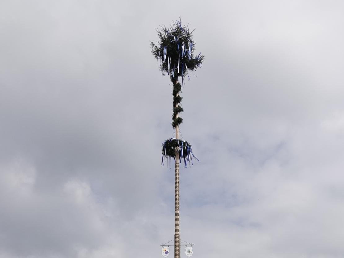 Maibaum Brachstadt 